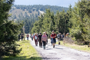 Wanderung zur Elbquelle