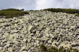 Wanderung zur Elbquelle