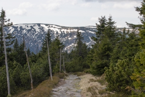 Wanderung zur Elbquelle