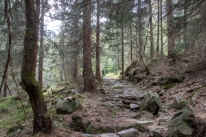 Rückweg nach Spindlermühle