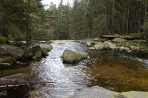 Rückweg nach Spindlermühle