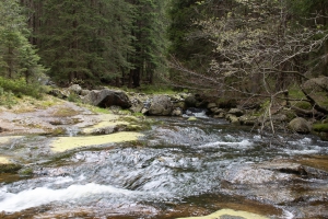 Rückweg nach Spindlermühle