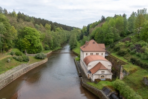 Königreich  Wald Damm