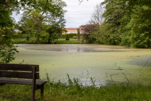 Schloßpark Seußlitz