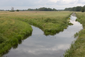 Am Großen Teich