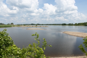 Blick auf die Elbe