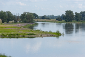 Elbe bei Rühstädt