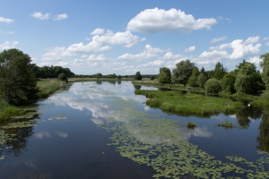 Blick auf die Löcknitz