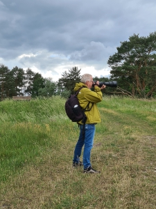 Seeadler fotografieren