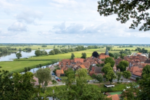 Hitzacker auf dem Weinberg