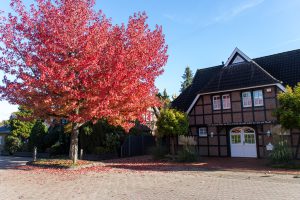 Um das Bad Zwischenahner Meer