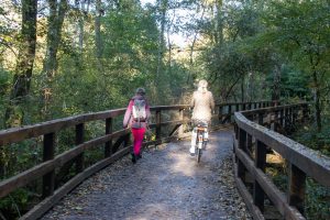 Um das Bad Zwischenahner Meer