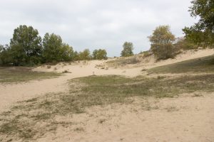 Naturschutzgebiet Doornpanne