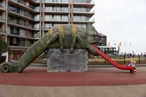 Ask the Animals, and They Will Teach You