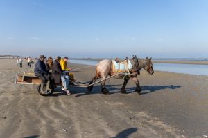 Krabbenfischer auf dem Weg zum Meer
