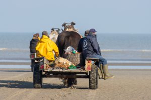 Krabbenfischer auf dem Weg zum Meer