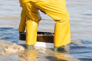 Der Fang wird gewaschen