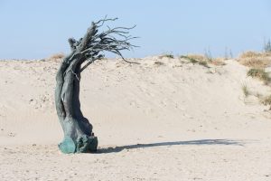 Beaufort Skulpturenpark