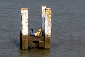 Beaufort Skulpturenpark