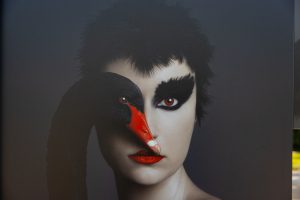 Internationale Fotobiënnale