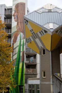 StreetArt  am Kubushaus