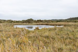 Nationalpark Kwade Hoek