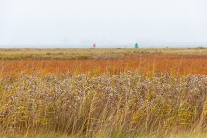 Nationalpark Kwade Hoek