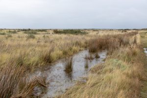 Nationalpark Kwade Hoek