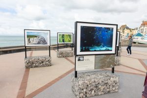 Fotoausstellung am Strand