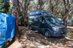 Camping Internazionale Etruria
