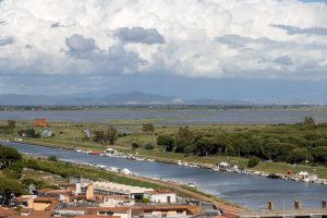  Riserva Naturale Diaccia Botrona