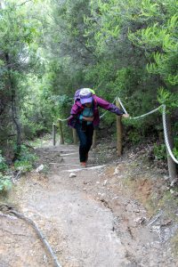 Parco delle Fumarole