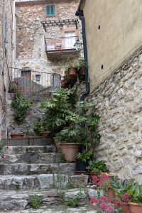 Sasso Pisano