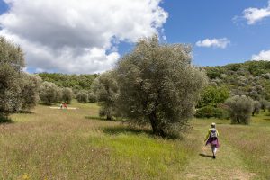 Il Giardino di Daniel Spoerri