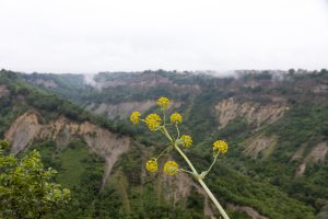 Aussicht von Civita di Bagnoregio
