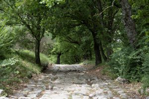 Via Flaminia