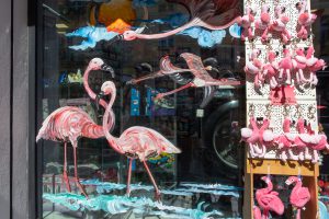 überall Flamingos