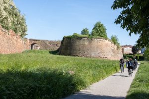 Die Stadtmauer