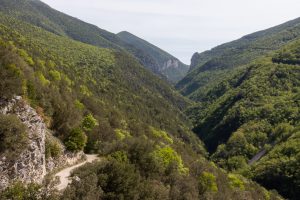der Wanderweg