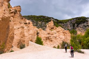 Lame Rosse