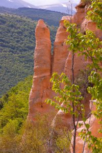 Lame Rosse