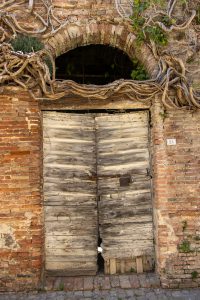 in Monodolfo