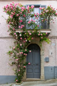 Sant'Angelo di Roccalvecce