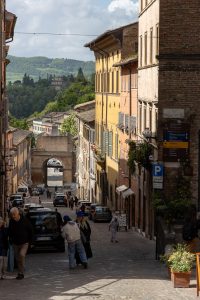 in Urbino