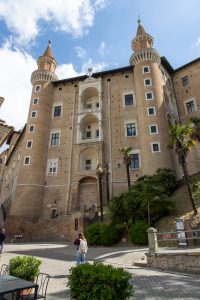 in Urbino